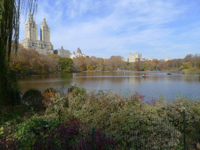 USA_2011-11-20 12-29-47